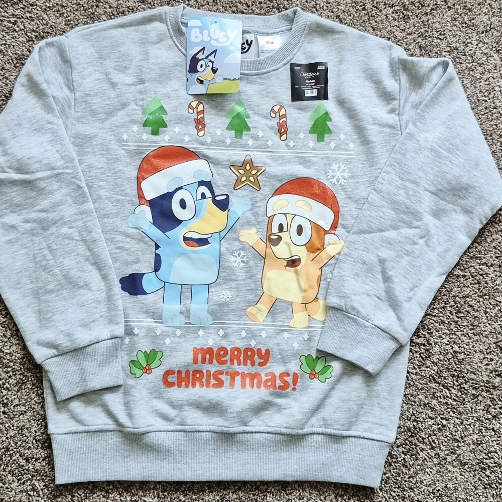 Bluey And Bingo Kids Christmas Sweatshirt Heather Grey Medium Dance Santa Hat